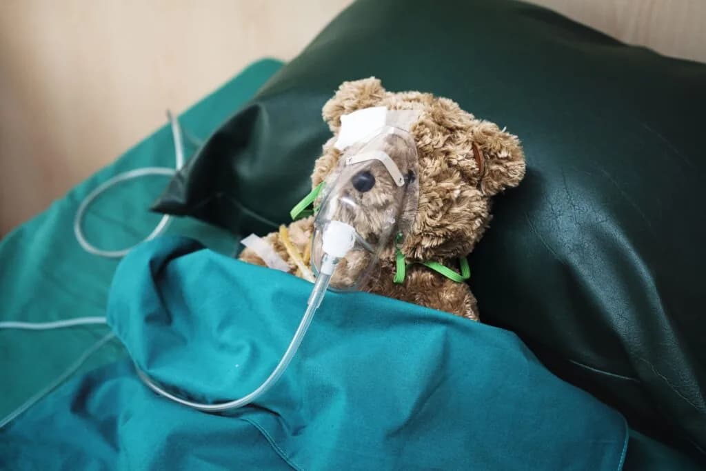 A soft toy wearing a small mask, illustrating CPAP airflow comfort